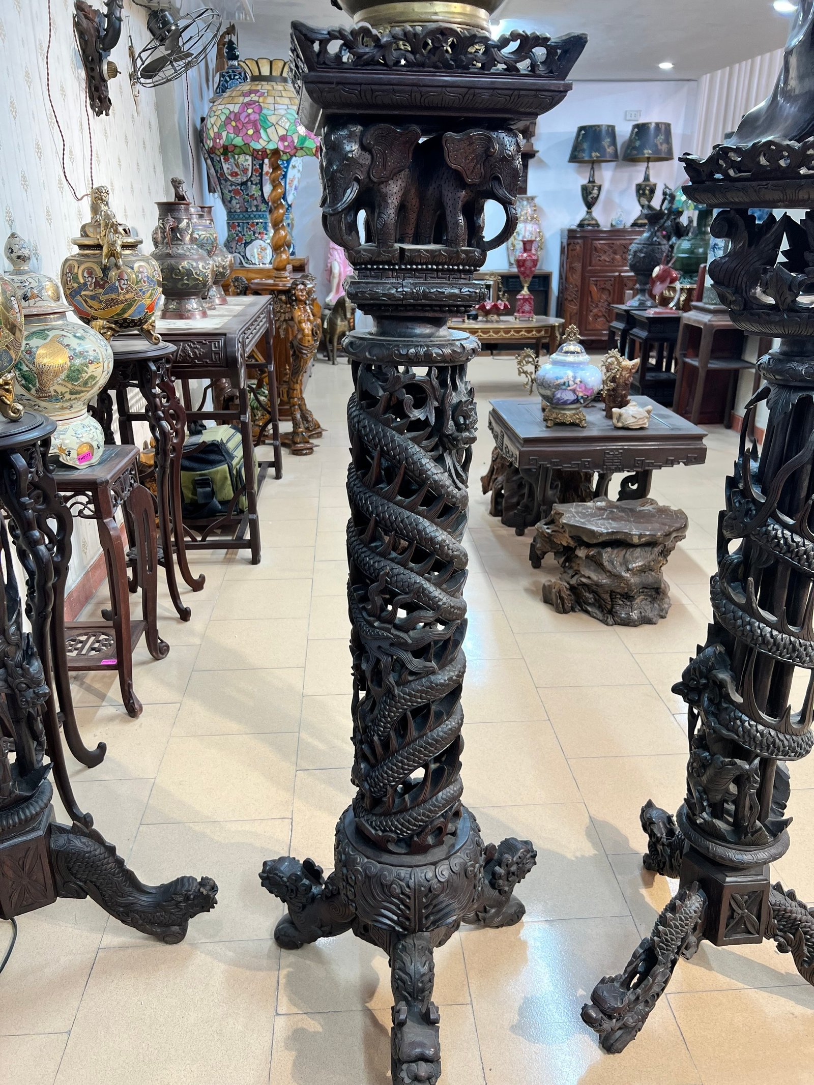 Đôn Châu Âu MS19